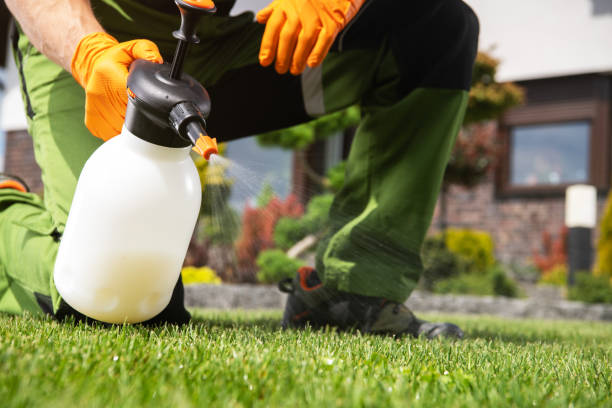 Best Affordable Pest Control Services  in Gibbsboro, NJ